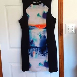 GUC- Dress by Nicole Miller